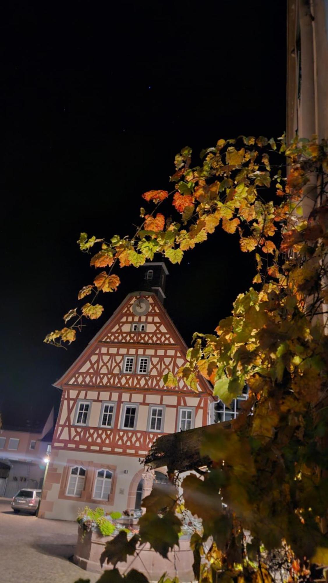 Brunnenputzer Pension Restaurant Kulsheim ภายนอก รูปภาพ